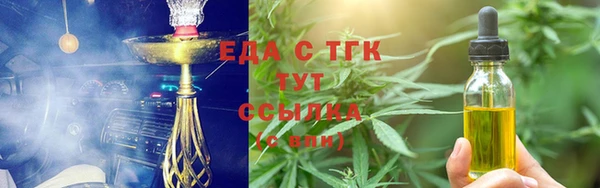 индика Калининец