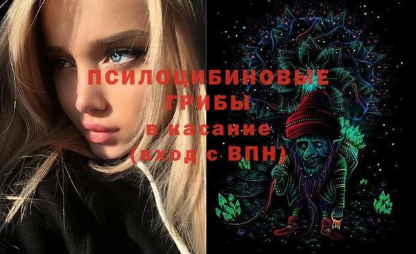 индика Волгодонск