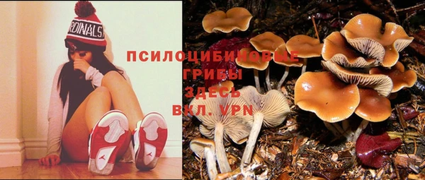 сатива Нязепетровск