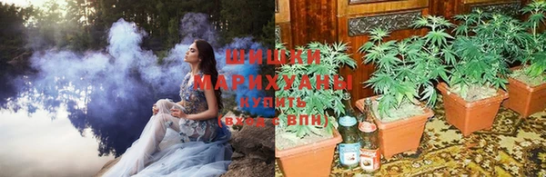 2c-b Нестеровская