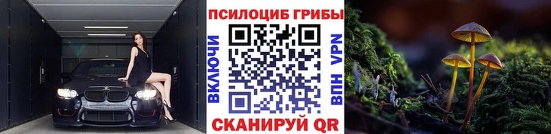 ОМГ ОМГ ссылка  Новоаннинский  Псилоцибиновые грибы MAGIC MUSHROOMS 